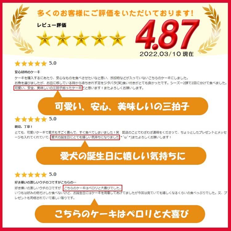 犬用ケーキ おかずケーキ 誕生日 無添加 無着色 犬 おかず 名入れ ドッグフード Andycafe 手作り グルテンフリー 記念日 お祝い アレルギー対応 Dm0024 Andy Cafe Yahoo 店 通販 Yahoo ショッピング