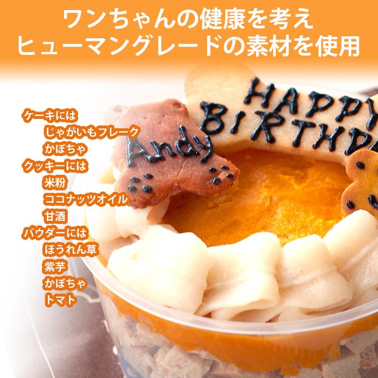 犬用ケーキ おかずケーキ クリスマスケーキ 誕生日 無添加 無着色 犬 ドッグケーキ おかず 名入れ ドッグフード 手作り グルテンフリー 記念日 お祝い ペット Dm0024 Andy Cafe Yahoo 店 通販 Yahoo ショッピング