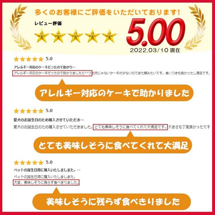 犬用ケーキ 誕生日 無添加 グルテンフリー 名入れ 手作り 犬用 記念日ケーキ ドッグフード マンゴー レアチーズケーキ Andycafe お祝い アレルギー対応 Dm0028 Andy Cafe Yahoo 店 通販 Yahoo ショッピング