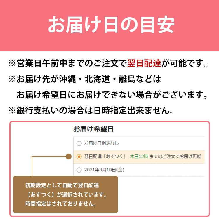 犬用ケーキ 誕生日 無添加  グルテンフリー 犬のケーキ ケーキ 名入れ 手作り 犬用 犬 記念日ケーキ ドッグフード マンゴー レアチーズケーキ お祝い andy cafe｜andycafe｜11