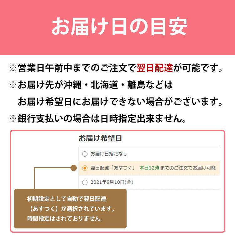 スーパーセール 犬用ケーキ 誕生日 無添加 グルテンフリー ドッグケーキ 名入れ 手作り 犬 誕生日ケーキ ドッグフード ブルーベリー レアチーズケーキ Andy Cafe お祝い 小型犬 Discoversvg Com