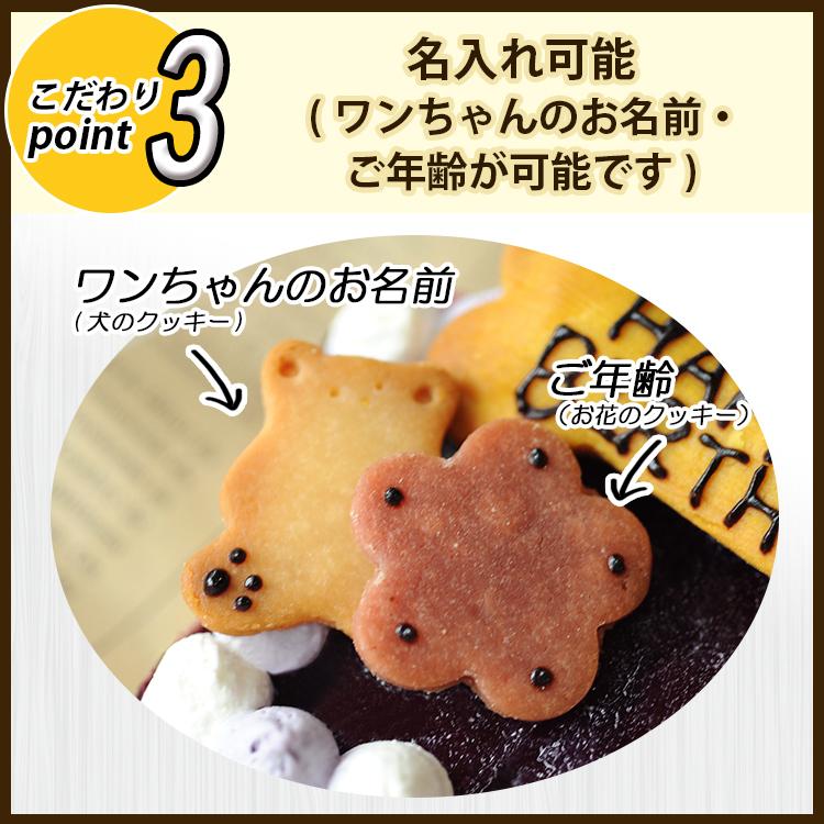 スーパーセール 犬用ケーキ 誕生日 無添加 グルテンフリー ドッグケーキ 名入れ 手作り 犬 誕生日ケーキ ドッグフード ブルーベリー レアチーズケーキ Andy Cafe お祝い 小型犬 Discoversvg Com