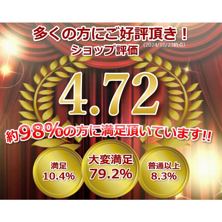 モバイルモニター ディスプレイ 13.3インチ デュアルモニター サブモニター ポータブルモニター 外付けモニター コスパ 自立スタンド付 角度調整 縦置き |  | 01