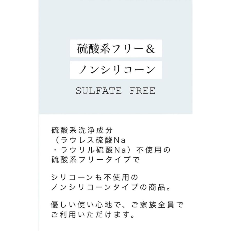 見せかけのサラツヤでごまかさない シャンプー＜硫酸系フリー・ノンシリコーン＞詰め替え1000ml |  | 04