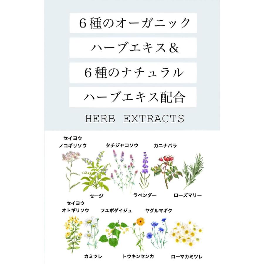 見せかけのサラツヤでごまかさない シャンプー＜硫酸系フリー・ノンシリコーン＞詰め替え1000ml｜andzero｜06