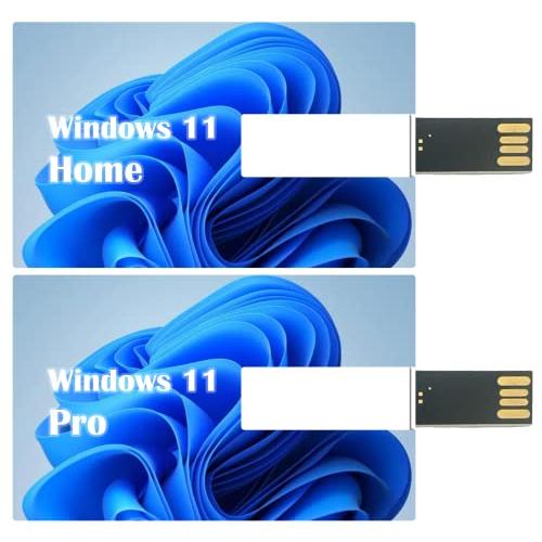 Windows 11 Pro 64bit 【最新版USB付き】 (Windows 11 Pro USB)