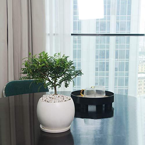 Ekirlin 植木鉢 陶器鉢 白 おしゃれ 丸 受け皿付き 鉢 プランター 鉢植え 観葉植物 6号 15cm 底穴あり 北欧 室内 部屋 インテリア 特価