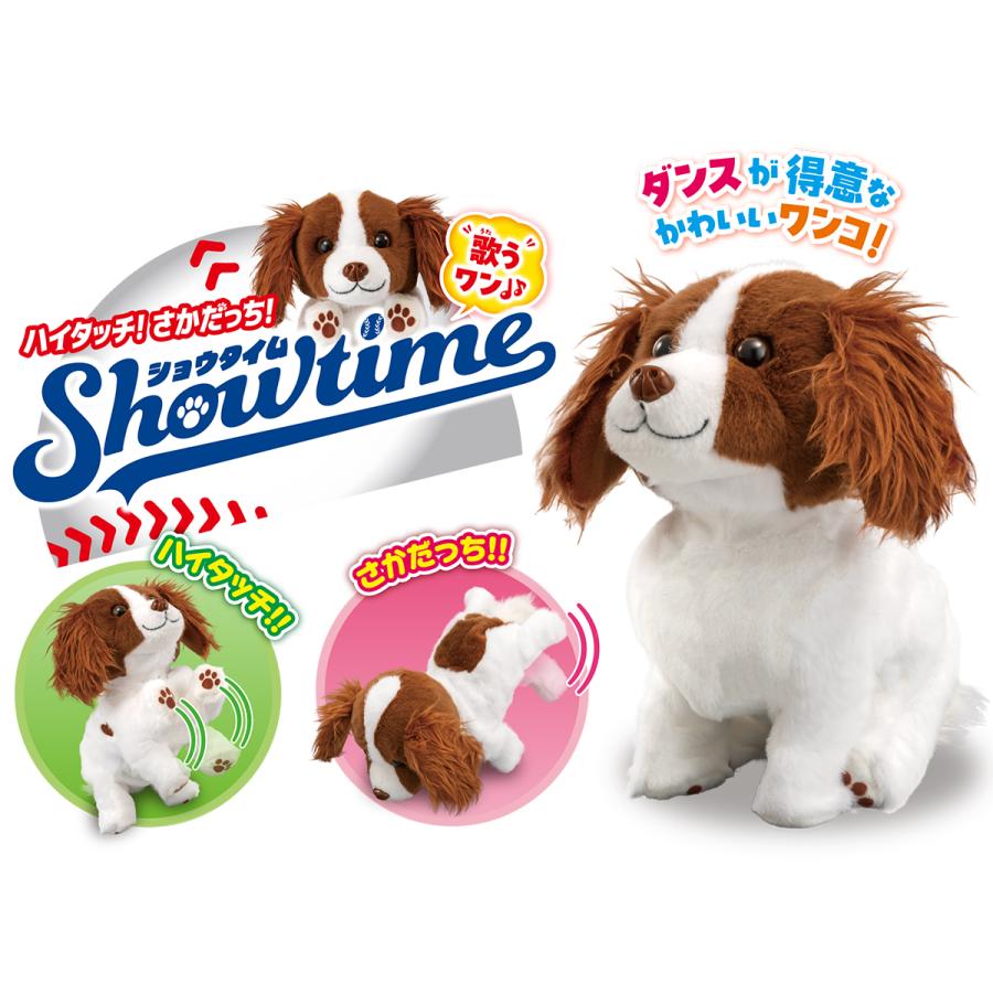 ハイタッチ！さかだっち！Showtime（ショウタイム）ご希望で無料
