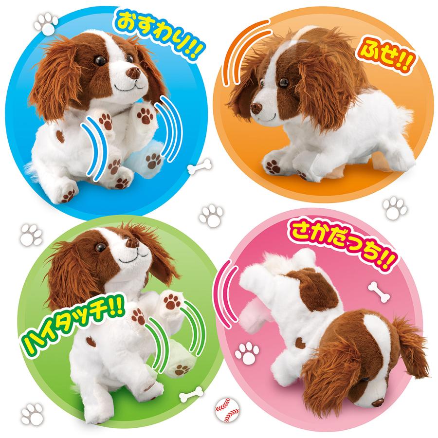 ハイタッチ！さかだっち！Showtime（ショウタイム）ご希望で無料