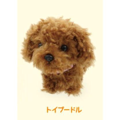 まねまねトコトコシリーズ トイプードル : Anela Yahoo!店 - 通販
