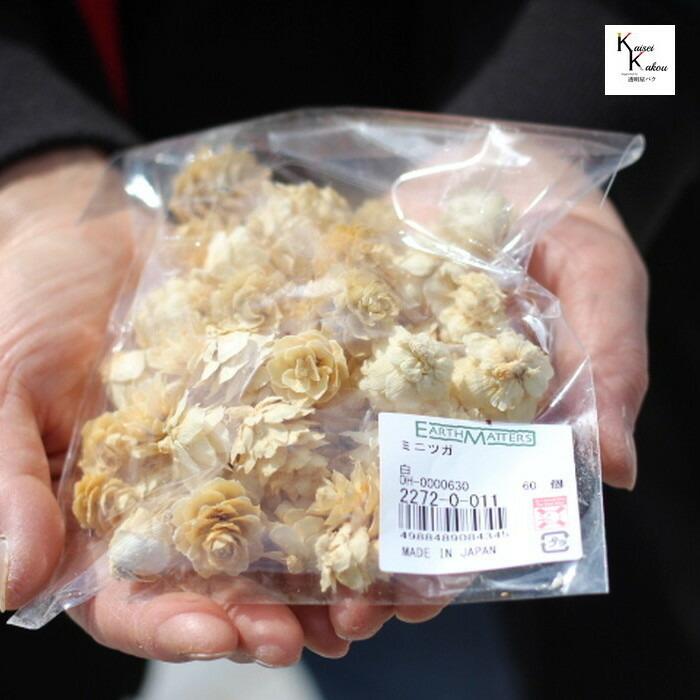 プリザーブドフラワー ミニツガ 「白」 25g 花材 アレンジ ドライフラワー 木の実 大地農園 材料 装飾 飾り付け｜aneo｜03