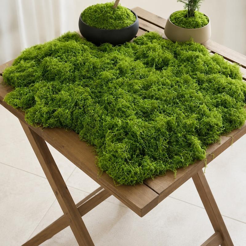 TERRA MOSS テラモス 大型 天然苔 苔玉 インテリア ハンドメイド 人工苔 フェイクモス ドライモス テラリウム ジオラマ 鉢植え 装飾用