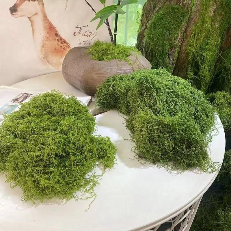 人工苔 フェイクモス ドライモス テラリウム ジオラマ 鉢植え 装飾用