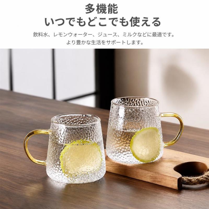 耐熱ガラス ピッチャー コップ セット 冷水筒 麦茶ポット 蓋付き 大