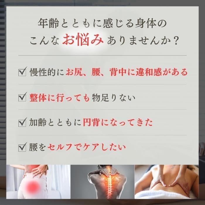 正規品】ペルビス 骨盤職人 PV01 木製 ツボ押し玉 骨盤矯正 肩