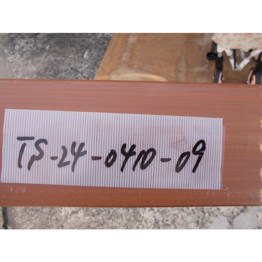 TS-24-0410-09 一部地域を除き送料無料 シルバーカー 歩行器 ヘルシー