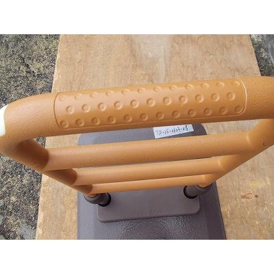 TS-25-0623-08 一部地域を除き送料無料 モルテンルーツセンタータイプ