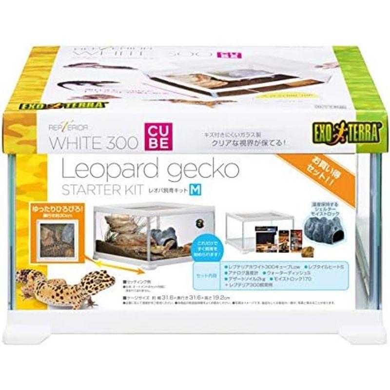 レプテリア GEX 飼育セット EXOTERRA 通販 EXO TERRA ジェックス