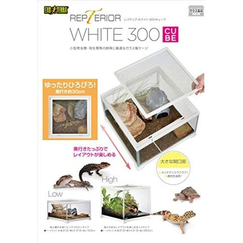 レプテリア GEX 飼育セット EXOTERRA 通販 EXO TERRA ジェックス