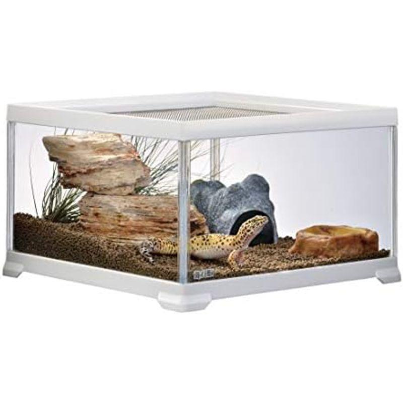 レプテリア GEX 飼育セット EXOTERRA 通販 EXO TERRA ジェックス