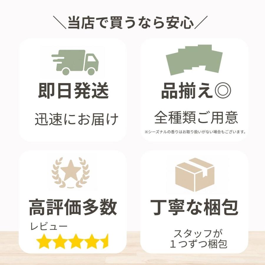 KNEIPP（クナイプ） バスソルト 10種類セット メール便 入浴剤 お試し