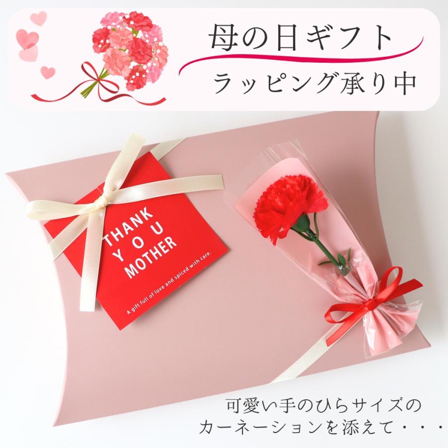 KNEIPP（クナイプ） バスソルト ギフト 2026 母の日 GIFT プレゼント
