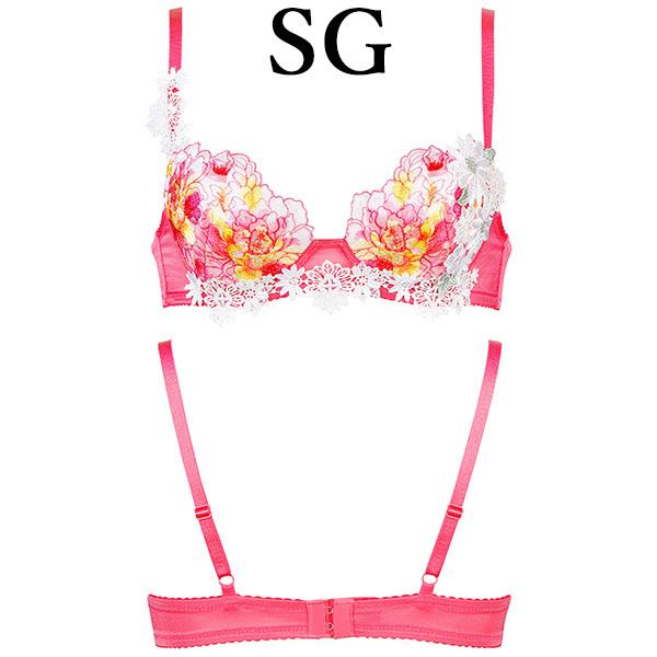 ワコールサルート　ブラ＆ショーツ プッシュアップタイプ　3/4カップ 新品未使用 サルート Salute 00グループ ワコール ブラジャー 3/4カップ