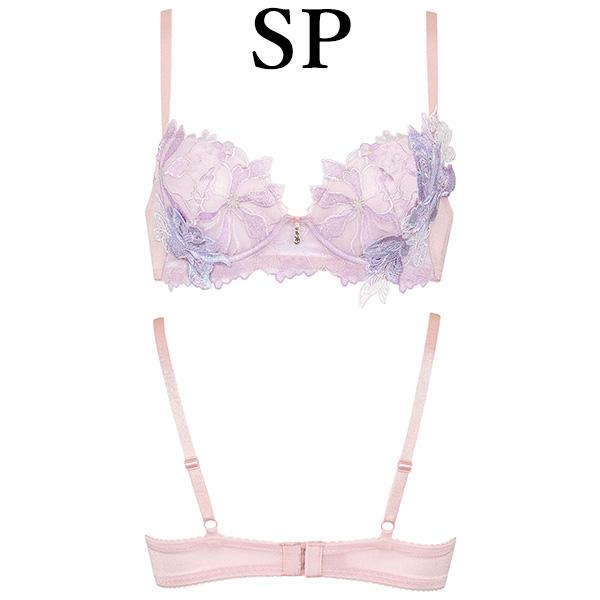 サルート（SALUTE） 96 ワコール BTJ496 ブラジャー プッシュアップ P