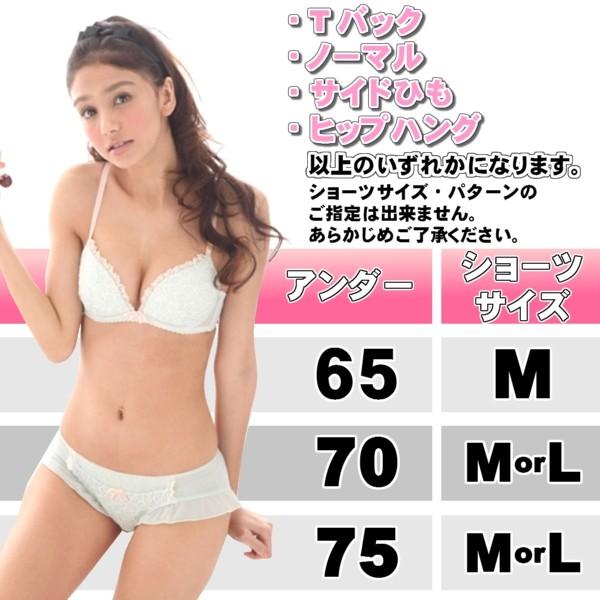 ブラ＋ショーツ2点セット ブラジャー ショーツ 2点セット[品番：FQ000152538]｜PlusNao