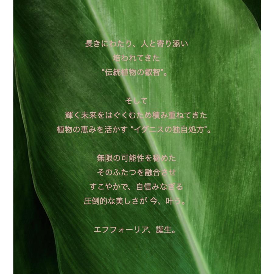 イグニス（IGNIS） 国内正規品 モイスチュアライジング エフフォーリア