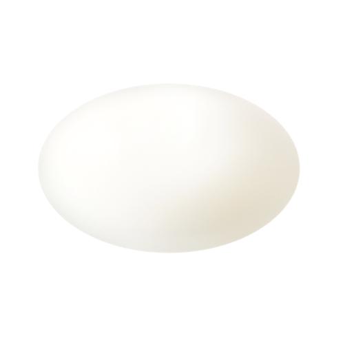 イグニス（IGNIS） 国内正規品 ホワイトニング エフフォーリア