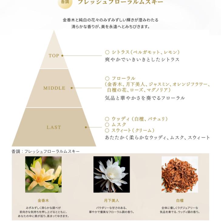 DECORTE AQ 5月16日発売 国内正規品 コスメデコルテ AQ パフュームド