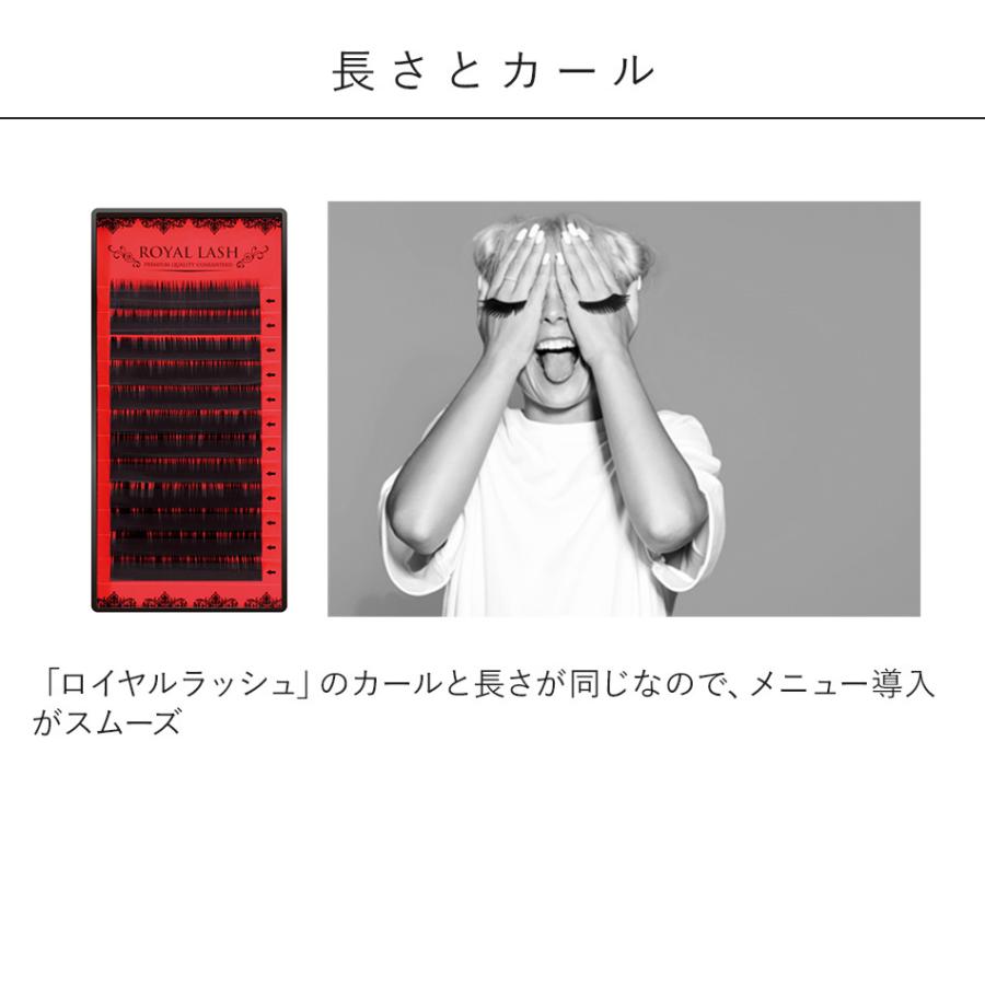まつげエクステ まつエク マツエク Extreme FLAT ネイビーアッシュ