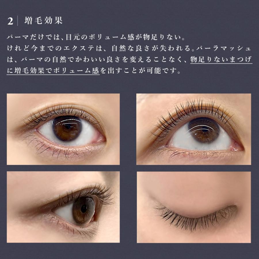 まつげエクステ まつエク マツエク パーマラッシュ 6列 マツエクセルフ