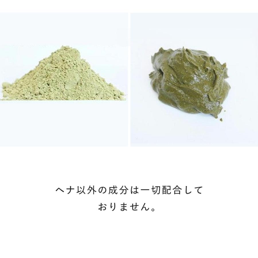 ヘナ インディゴ ヒルコス 無添加ヘナ粉末染料 ヘンナカミ100g 無添加