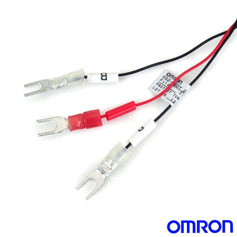 オムロン（OMRON） E52-P6DY 4M 温度センサ ローコスト白金測温抵抗体 