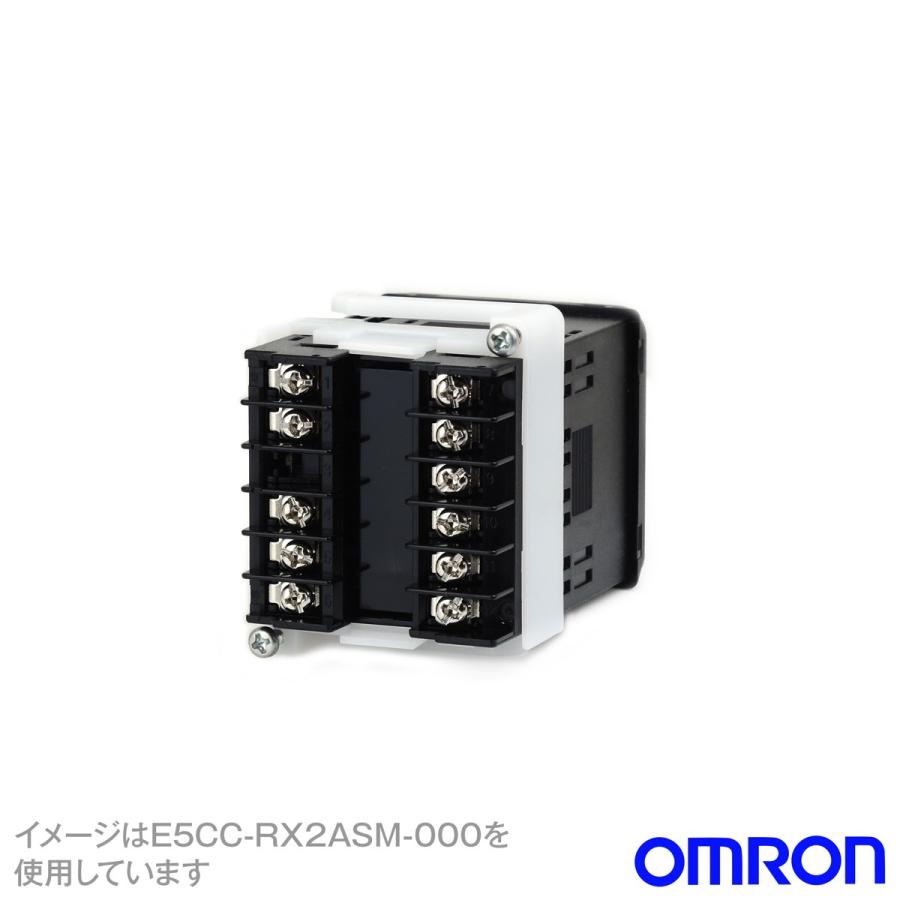 オムロン(OMRON) E5CC-RX2DSM-000 温度調節器 (デジタル調節計) (リレー出力) (電源電圧 AC/DC24V) (警報出力点数 2点) NN｜angelhamshopjapan｜02