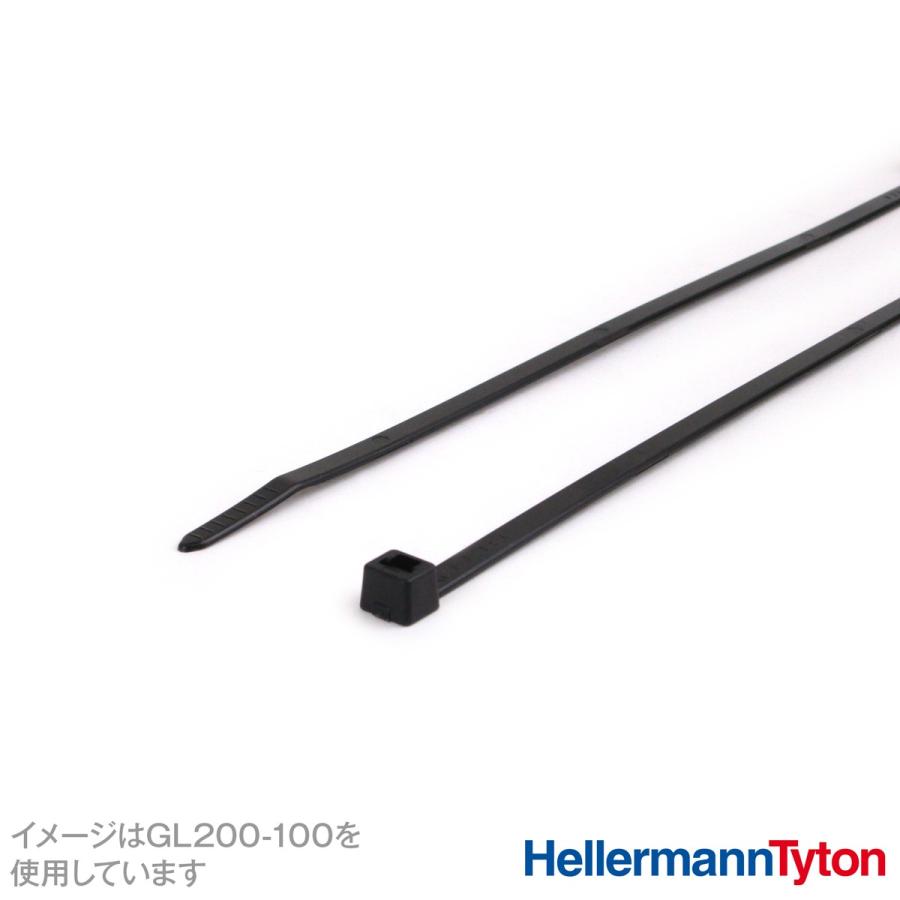 ヘラマンタイトン GL200-100 インシュロック ガルバロック (100 ヘラマンタイトン GL200-100 インシュロック ガルバロック (100