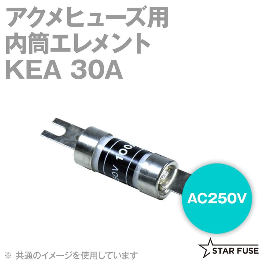 スターヒューズ KEA 30A アクメヒューズ用 内筒エレメント スターヒューズ KEA 30A アクメヒューズ用 内筒エレメント