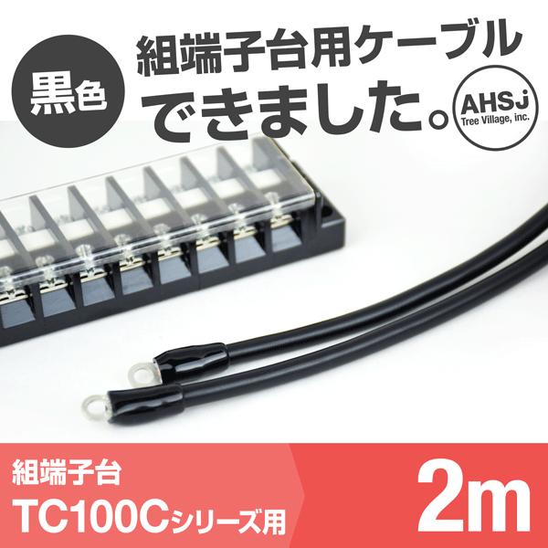TC100C用 黒色 2m 端子台接続ケーブル 2022 KIV TV 人気商品 R38-8 丸型圧着端子 38sq