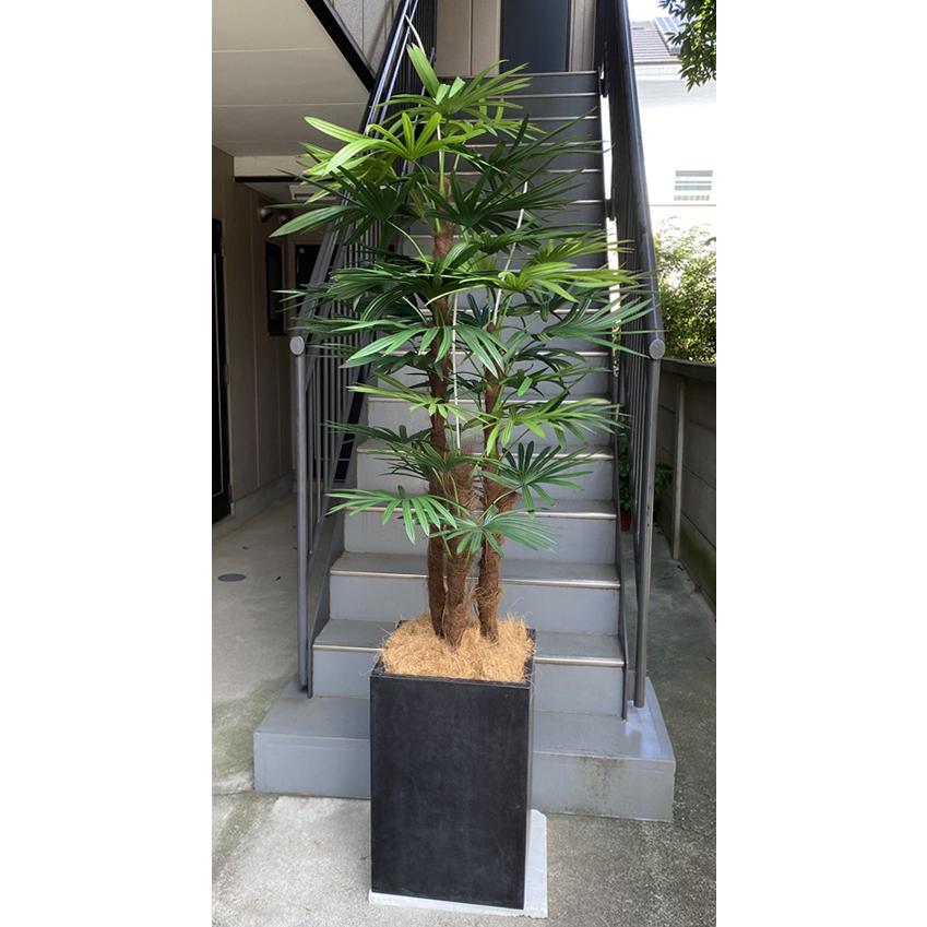 正規品 光触媒 造花 観葉植物 特大 棕櫚竹 コンクリート風大型スクエア鉢 ブラック 開店祝 開院祝 贈答 Yghl976 アンジェリックart 通販 Yahoo ショッピング 50 Off Www Maxipiso Com Ar