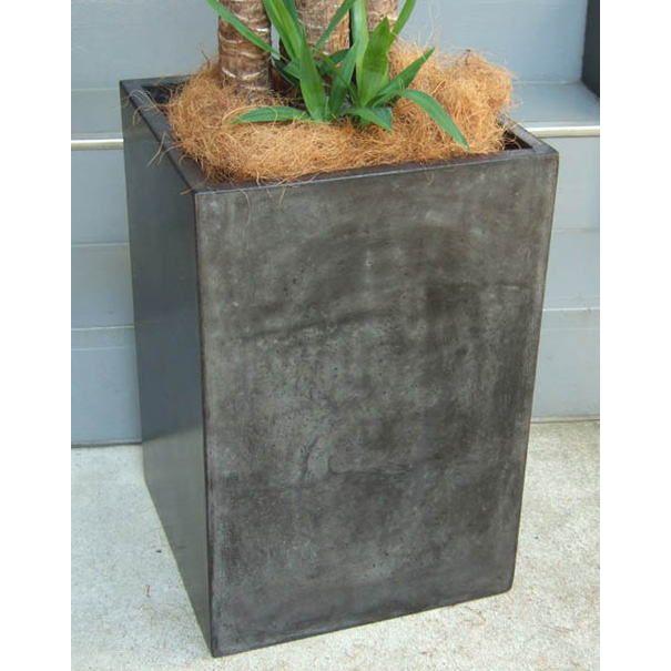 観葉植物 特大 ユッカ 青年の木 コンクリート風大型スクエア鉢ブラック 