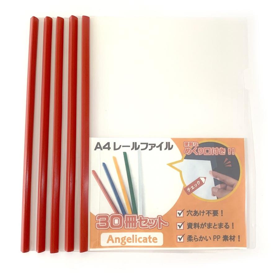 レールファイル 厚とじ A4 スライド ファイル 30冊 セット 1.0cm