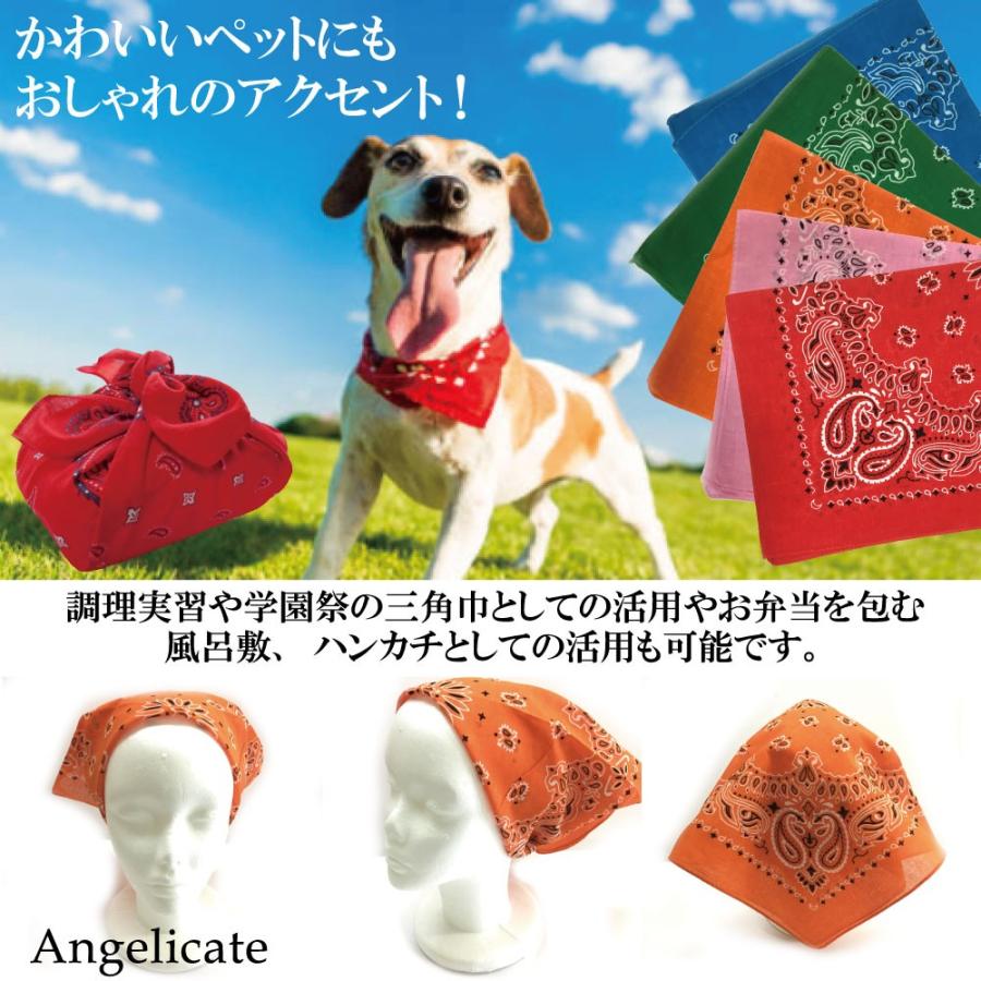 バンダナ 大判 ペイズリー 12枚セット 三角巾 : Angelicate - 通販
