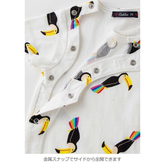 ベビー 服 日本製 Caldia レインボー オウム柄 ロンパース 総柄 ベビー服 キッズ かわいい 緑 白 おとこのこ 男の子 おんなのこ 女の子 マタニティ授乳服ベビー Angeliebe 通販 Paypayモール