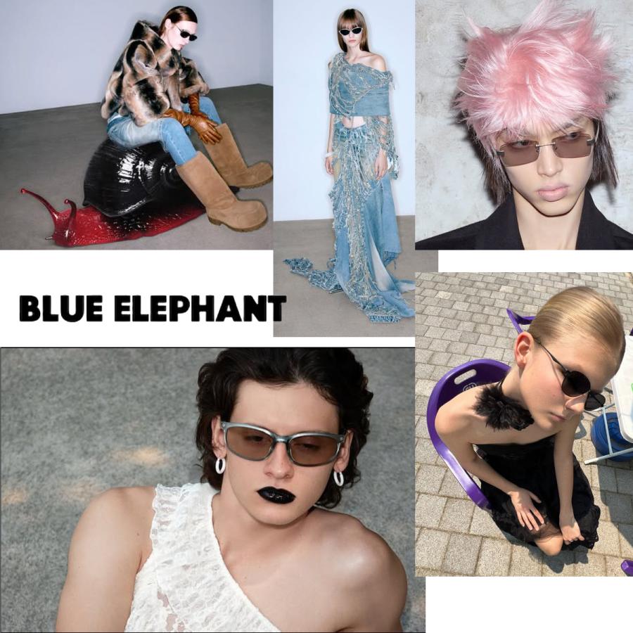 保証付 返品OK 日本 正規品 2026 日本未入荷ブランド BLUE ELEPHANT