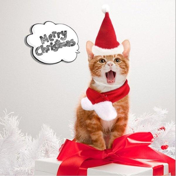 ペット服装 クリスマス 2点セット アクセサリー 犬猫用 スカーフ クリスマスサンタ 帽子 クリスマス 暖かい