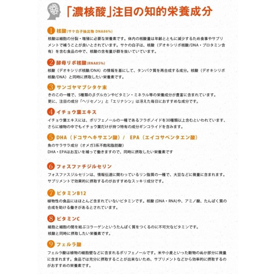 代引き手数料無料 記憶にのこる濃核酸 のうかくさん お得な6個セット 1個プレゼント送料無料 Dna Rna ヤマブシタケ Dha Epa イチョウ葉 フォスファチジルセリン 248粒 高知インター店 Www Kingfishswimming Com