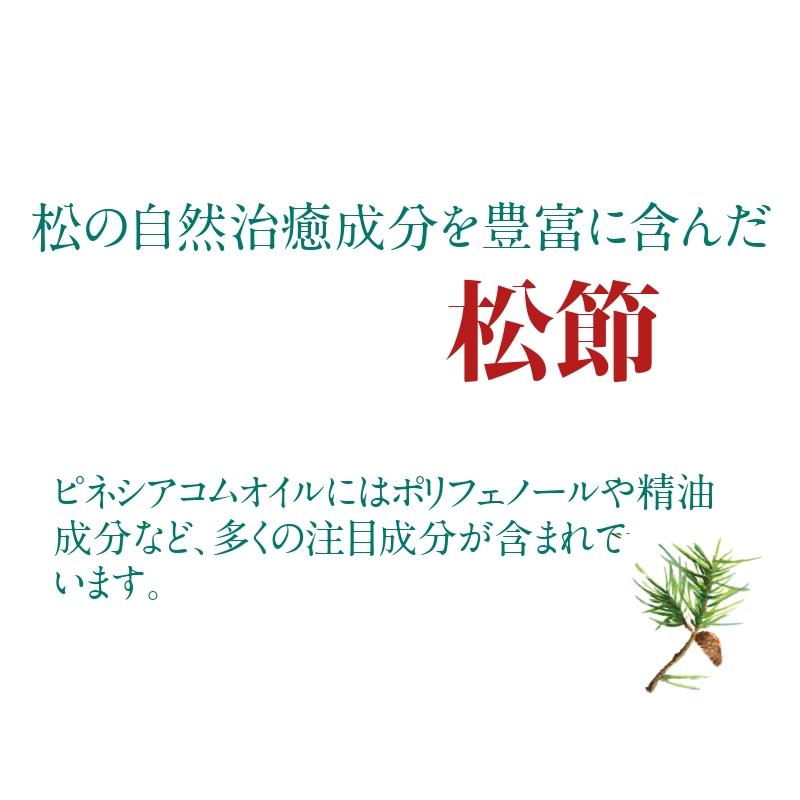 徳潤 松康泉 しょうこうせん 100粒入×2本セット 松の自然治癒成分を
