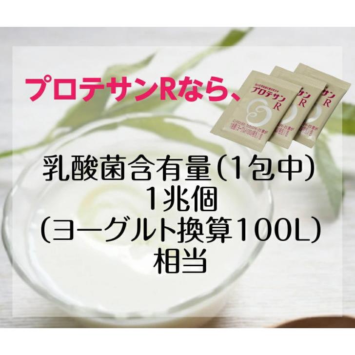 プロテサンR】74.4g (1.2g×62包) 1箱 乳酸菌サプリメント 乳酸菌 1兆個